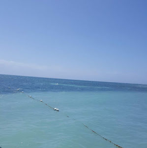 Meet your Posher, Alexa